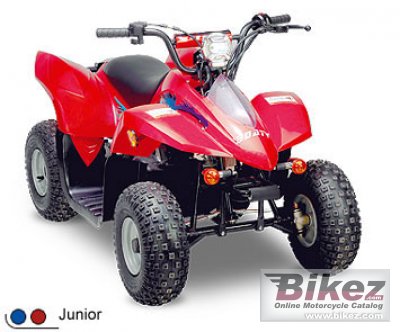 2009 Clipic Quad Mini Rex 50 photo